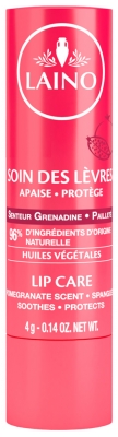 Lips Care Stick 4g